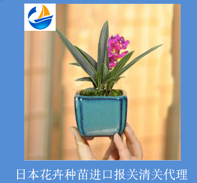 日本花卉種苗進口清關1.png