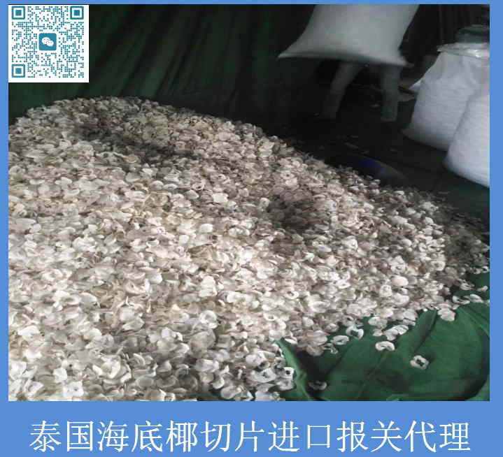 泰國海底椰片清關.jpg