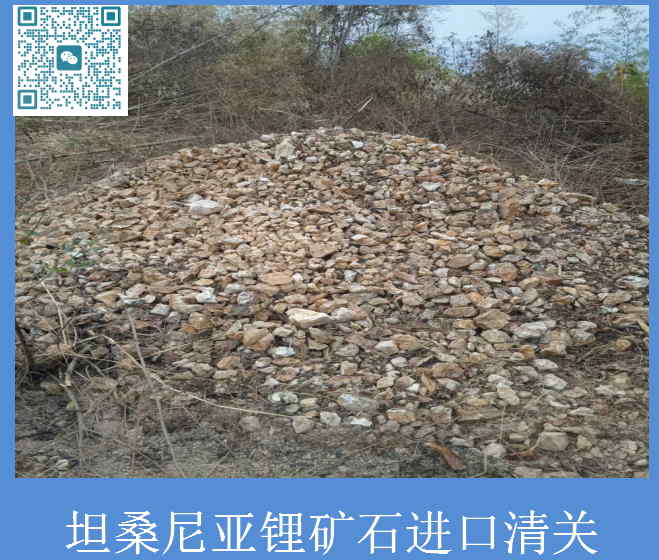 坦桑尼亞鋰礦石進口清關.jpg